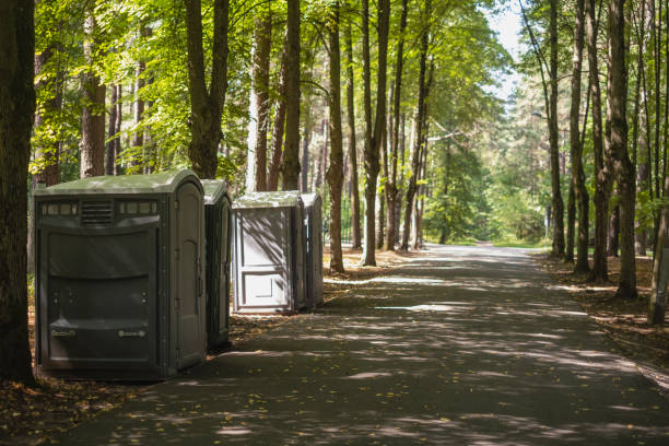 Best Affordable porta potty rental  in Lindstrom, MN